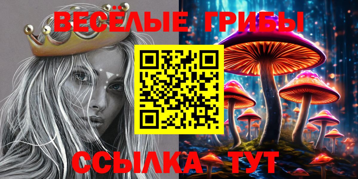Наро-Фоминск  Галлюциногенные грибы ЛСД  купить наркотики цена  Вход с VPN 